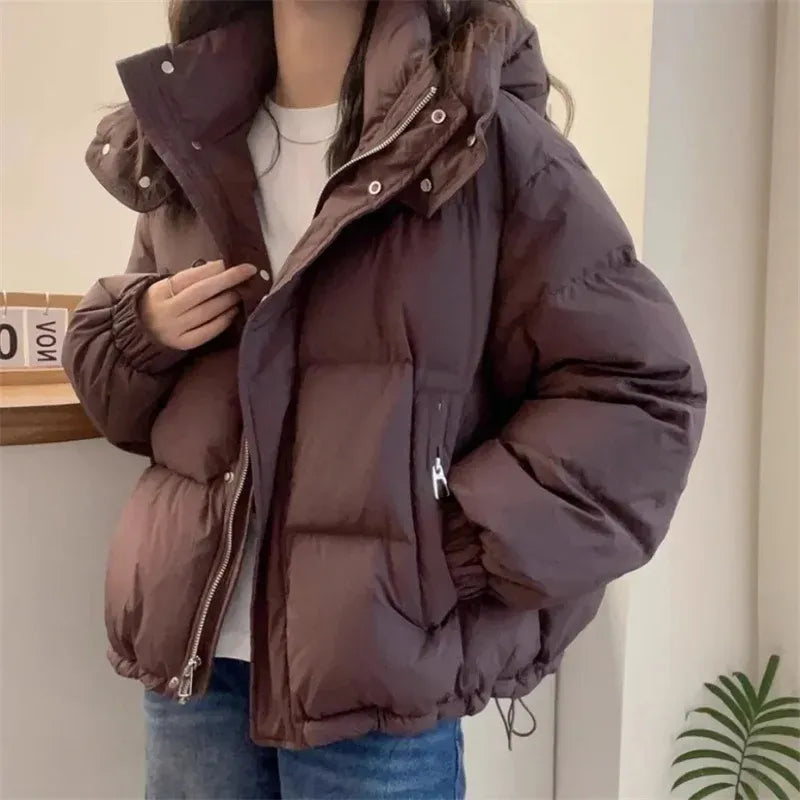 Sasha | Women's Cropped Quilted Puffer Jacket – Hood, Stand Collar, Zip Front – Brown